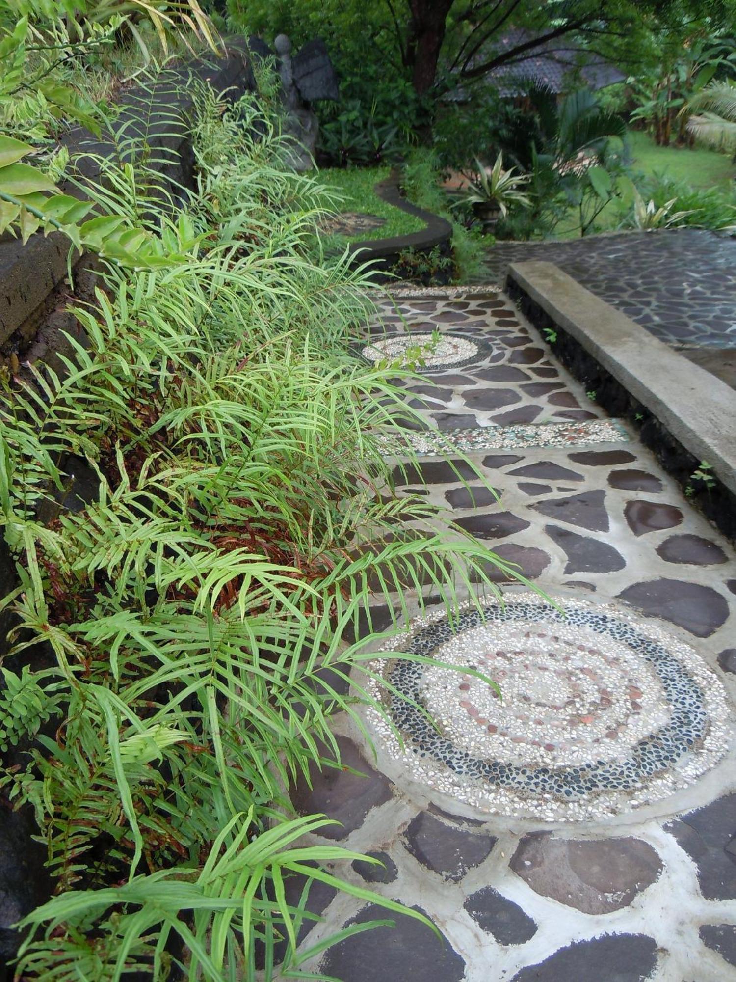 Sananda Bungalow Lovina Exterior foto